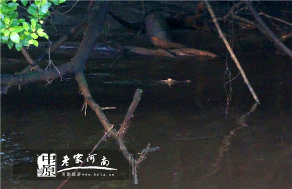 玩美假期马来西亚旅游,六日沙巴自由行攻略