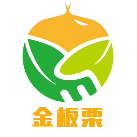 金栗子网络科技有限公司,金栗网络科技有限公司