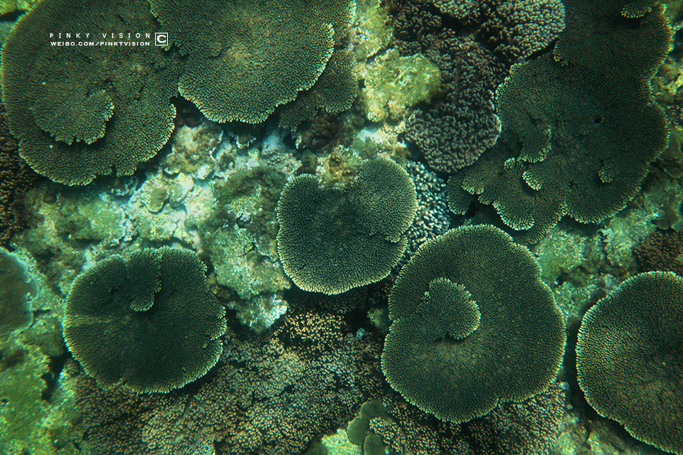 travel环球旅行,travel新旅行