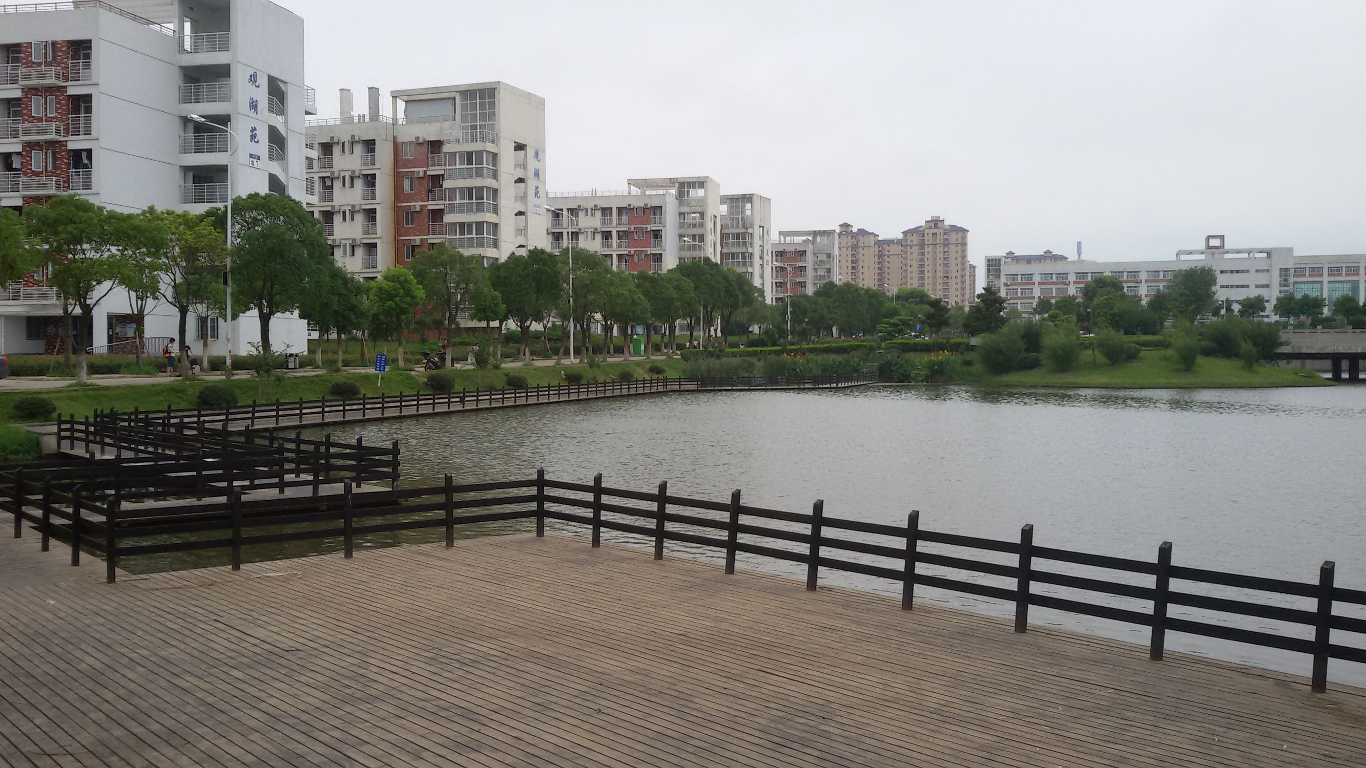 武汉商学院友情,武汉商学院玫瑰花