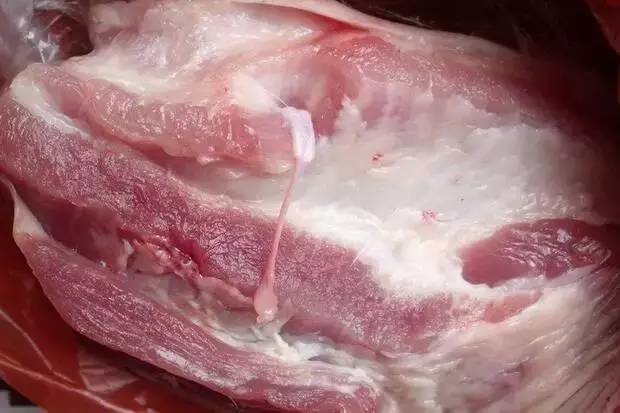 杈熻埃杩欎簺璋ｈ█浣犱俊杩囧悧,闈掔敯杈熻埃