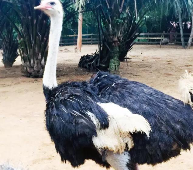 被遗忘的海南,海南被遗忘的浪漫之地