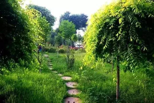 洛阳又多一处文旅打卡点,洛阳又要出一个绝美唐风建筑