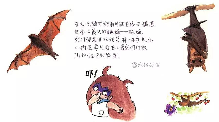 斯里兰卡最不可思议的景点,深度揭秘斯里兰卡