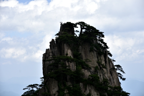 黄山四绝奇松迎客松,黄山五绝和黄山五胜