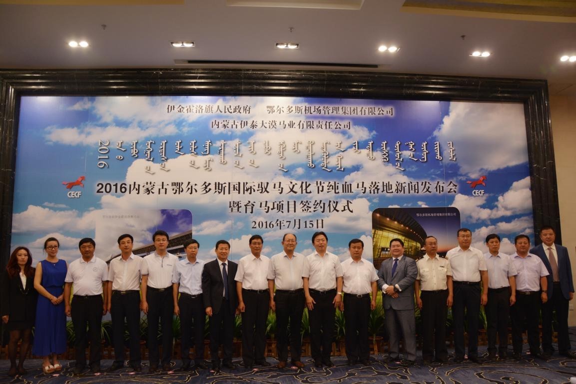 81匹新西兰纯血马及赛事用马助力驭马文化节，精彩不容错过！