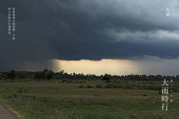 特刊|大暑·致LL—精灵的跳跃与隐匿