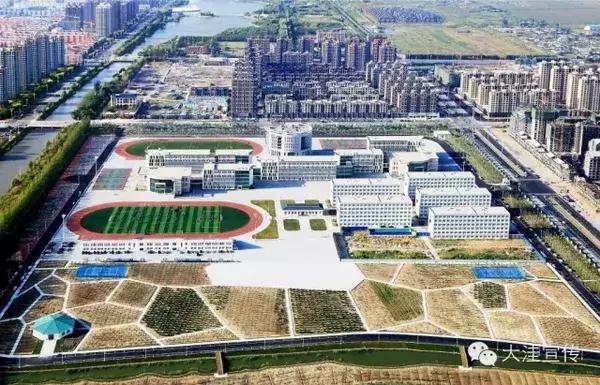 五载流金岁月　铸就风华大洼