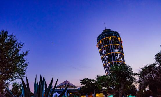 超甜的日剧摸头杀推荐,日剧捏脸杀