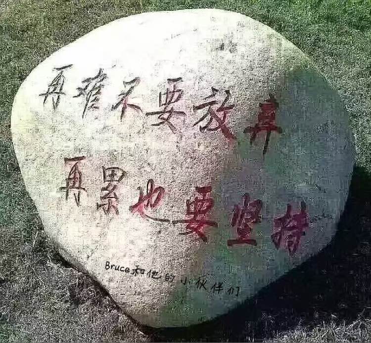 微商小白如何正确起步简单明了,微商小白的总结和感悟