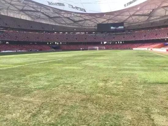 错错错，是草皮的错，可你们是否真的懂呢？