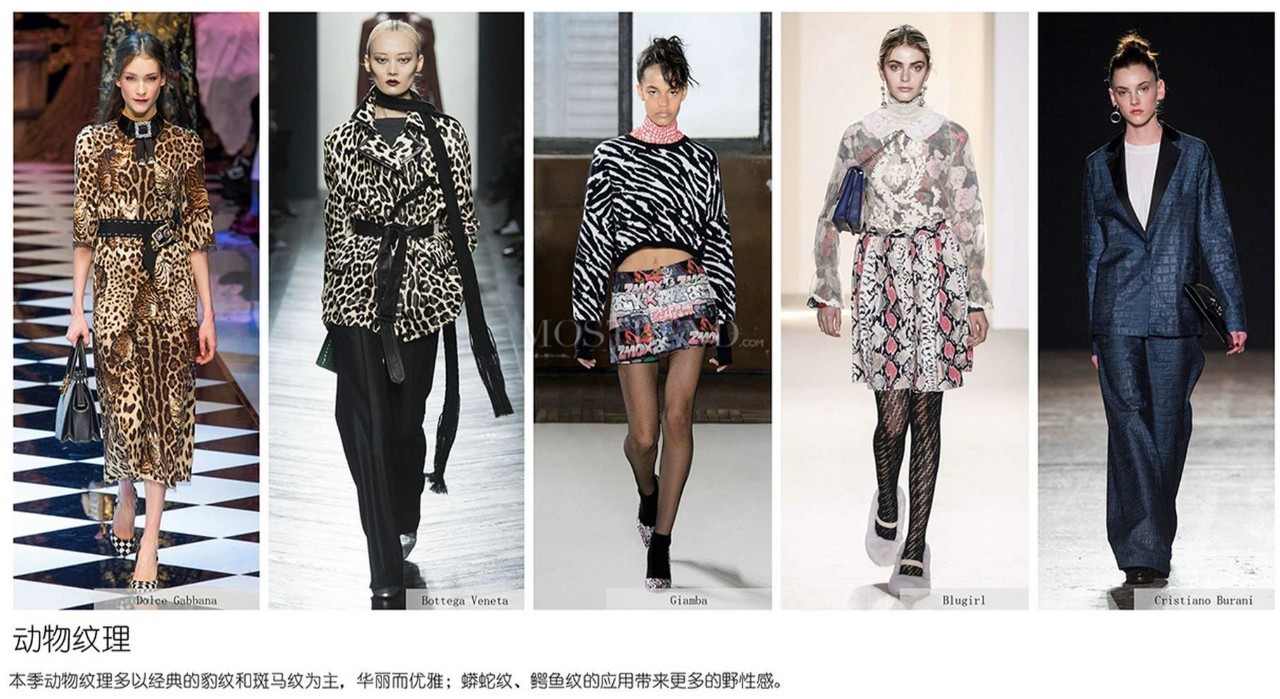 秋冬印花图案趋势,今年比较火的印花图案