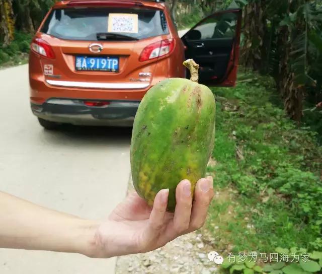 亚洲第一跨国大瀑布，淘宝掌柜环游旅行第十九集