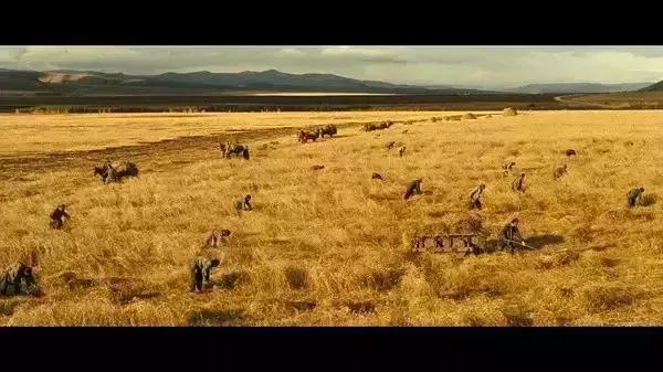 跟着电影去旅行全集,跟着电影去旅行视频