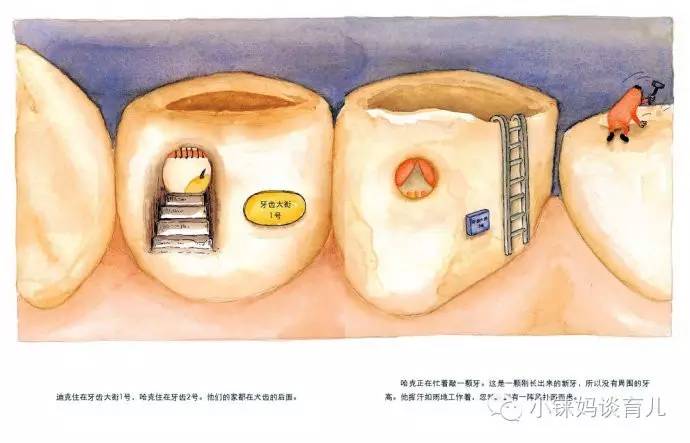 乳牙掉了没牙根怎么补牙,儿童乳牙龋齿烂了有必要补牙吗