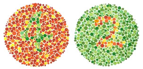 色盲眼镜怎么矫正色盲,色盲戴色盲矫正眼镜的反应