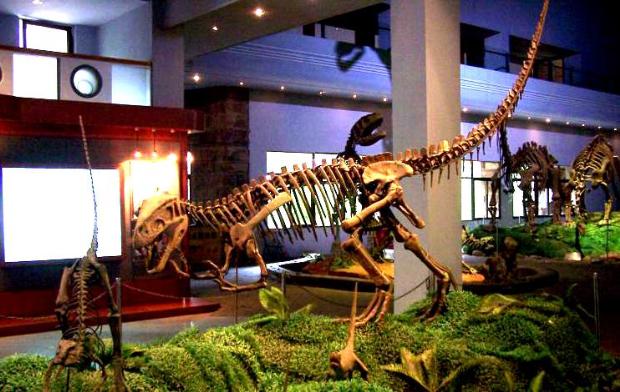 小孩脚下的足球，考古学家眼中的国宝，如今已震惊世界