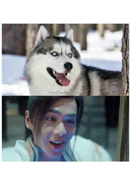 九州天空城电视剧好看吗,如何评价九州天空城这部电视剧