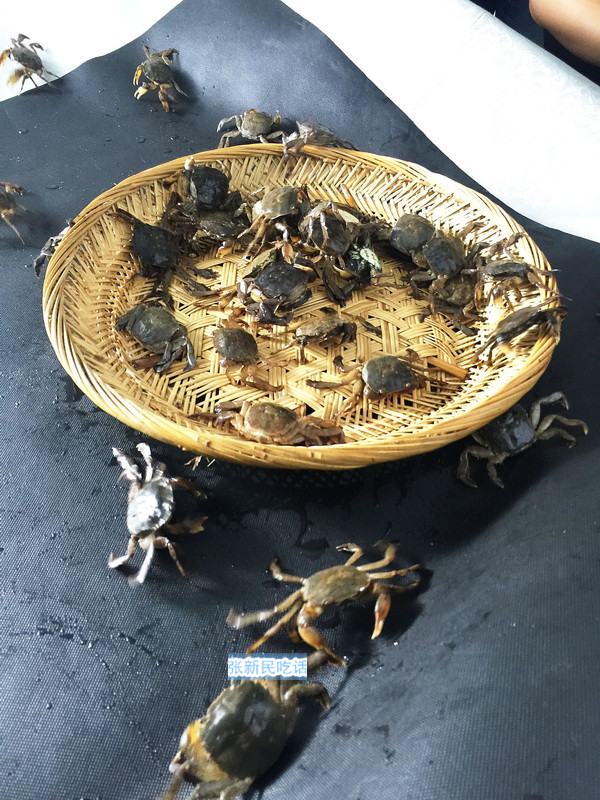潮汕人腌制的螃蟹,潮汕人的腌制小河蟹
