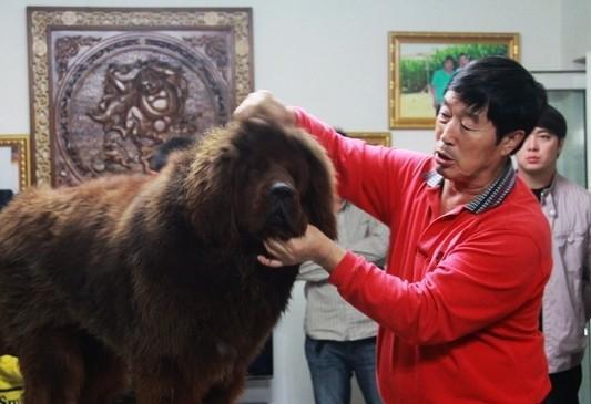 马家军里谁留在国内了,马家军谁得过奥运金牌