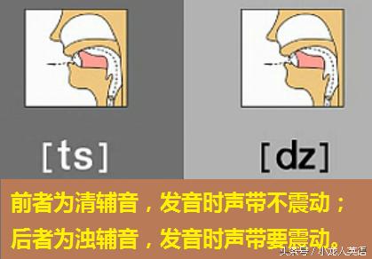 辅音28个音标大图讲解,音标5个元音和19个辅音讲解