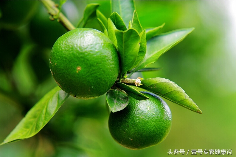 中医说舌头都是牙印是怎么回事,舌头暗紫中医调理案例