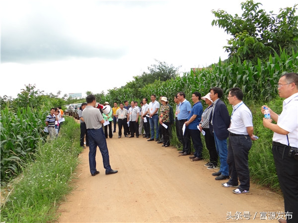 富源财政扶持创业,富源支柱产业