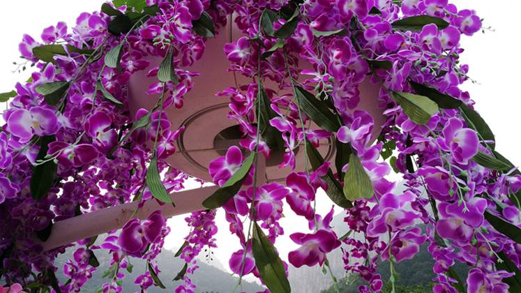 原来可以这么美这么精致,原来可以这么美舞蹈视频