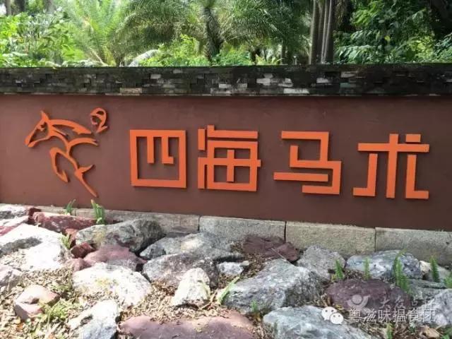 南京七夕开车约会指南,七夕约会流程安排重庆