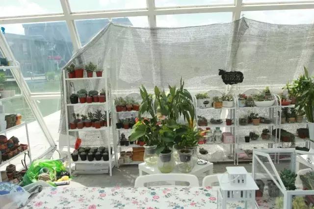 北京稻香湖景酒店儿童乐园,稻香湖欢乐岛温泉城堡儿童乐园