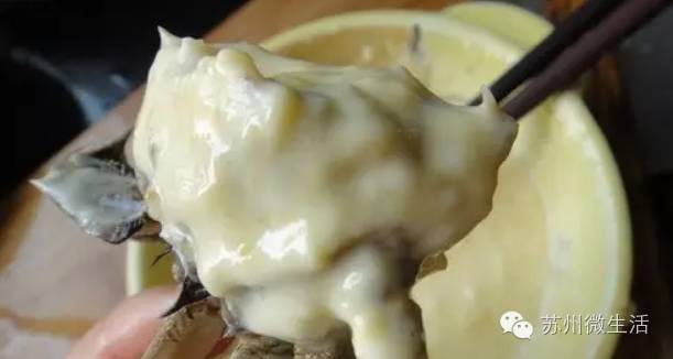 六月黄，令苏州人“魂牵梦萦”的那一口鲜嫩浓香的黄金膏油~来了！