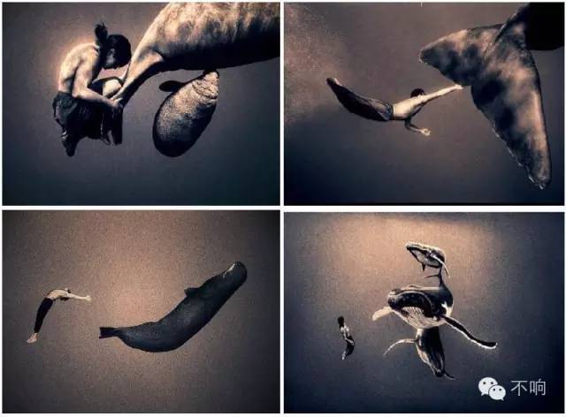 为什么说大鱼海棠毁三观,为什么说大鱼海棠颠覆三观