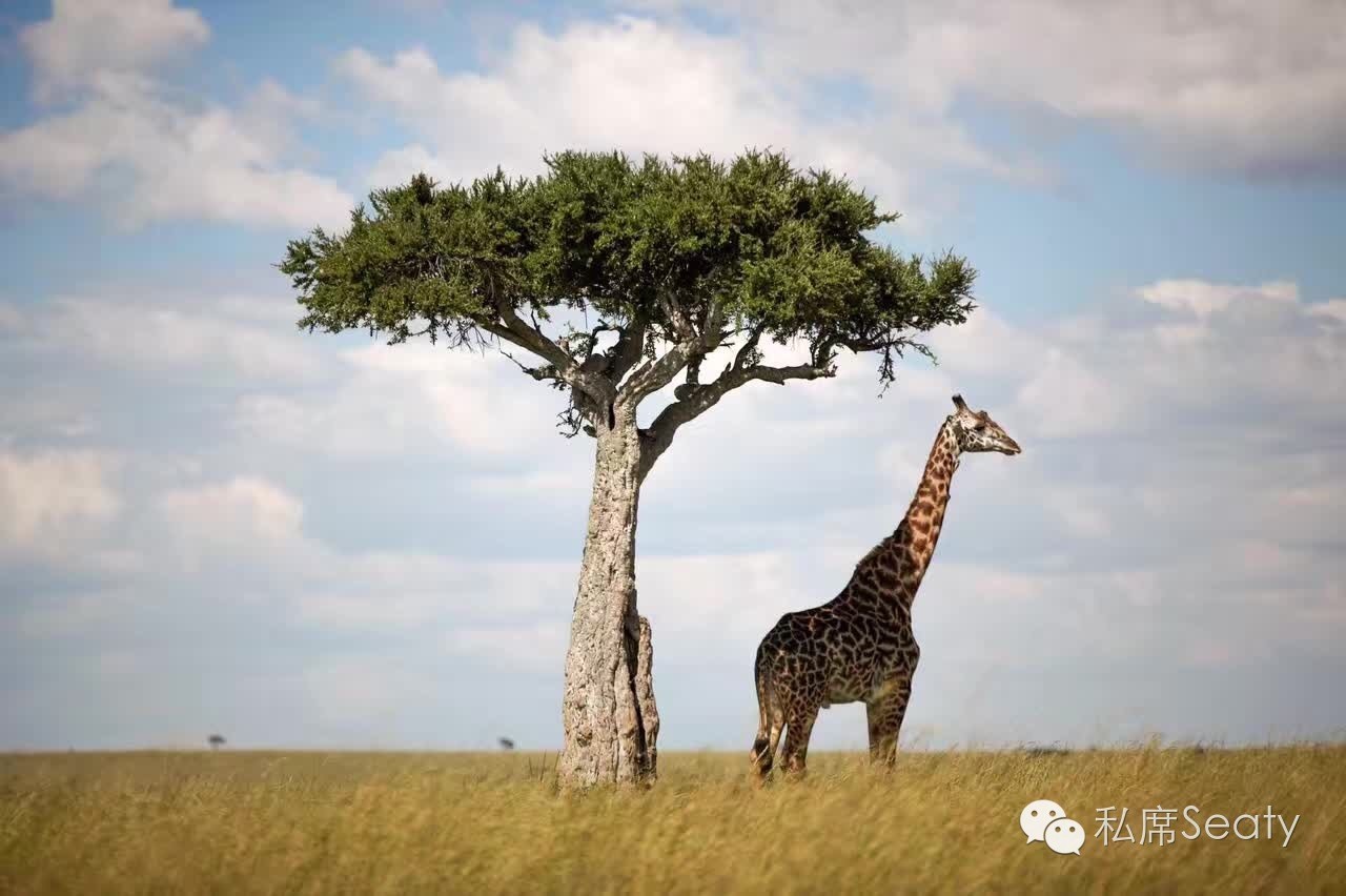 护肤眼睛疼怎么办,护肤晒伤后如何自救