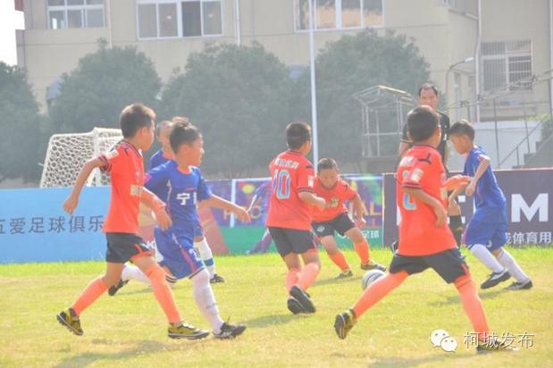 不得了!柯城这群绿荫小将拿了全省冠军!