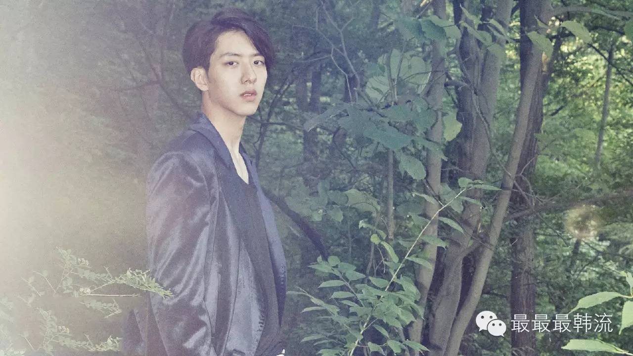 我们相爱很多年为什么就离别了,我们相爱很多年是哪首歌歌词