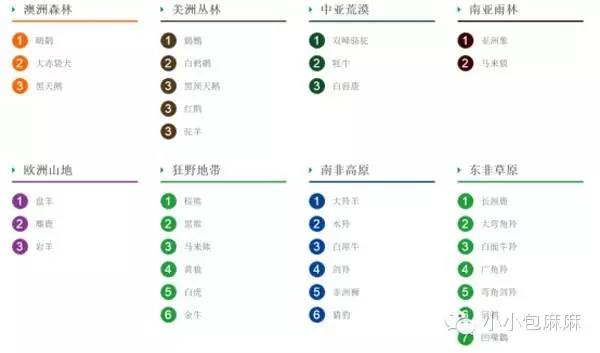 广州长隆动物园一日游攻略,长隆动物园和海洋公园哪个值得去