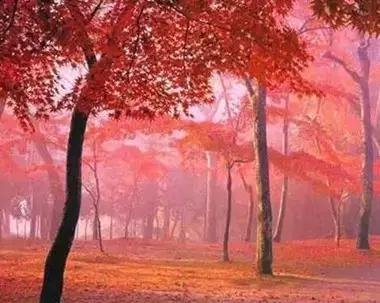 霸王级美景来袭，都在国内不去太可惜啦！