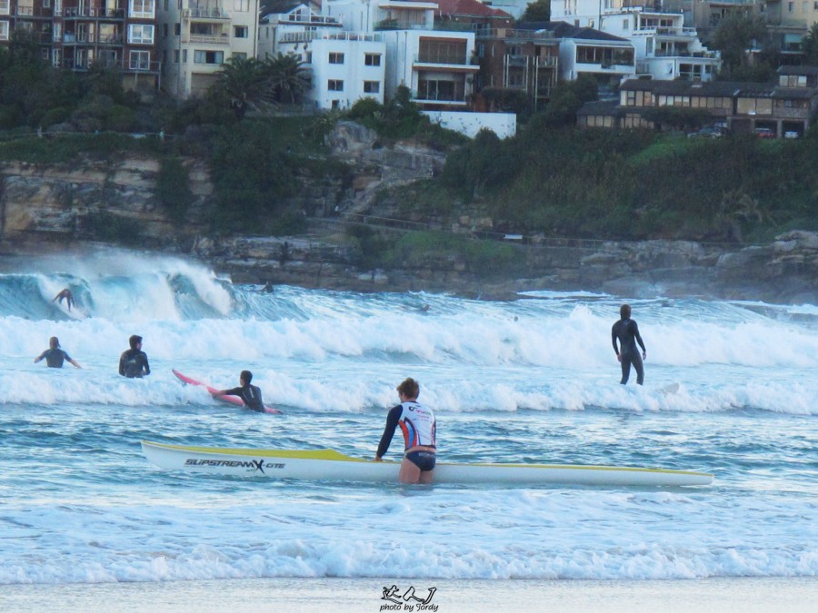 悉尼是啥味道,悉尼盐蚝