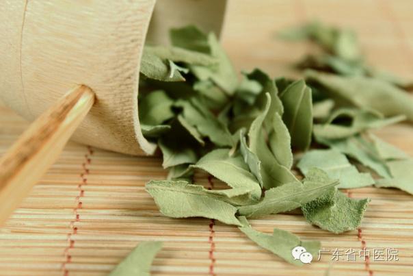 国医大师邓铁涛养生先养心,邓铁涛冠心病药方