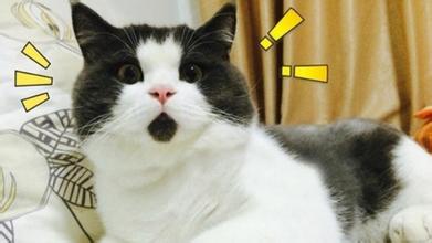 最新的温网新闻,温网最新信息今日