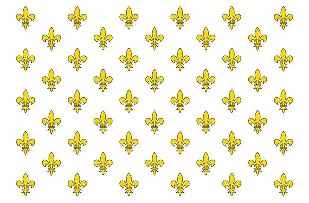 红白蓝法国国旗含义,红白蓝国旗france