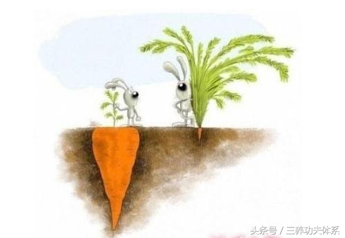 中医导引术全套视频,中医导引术调气方法