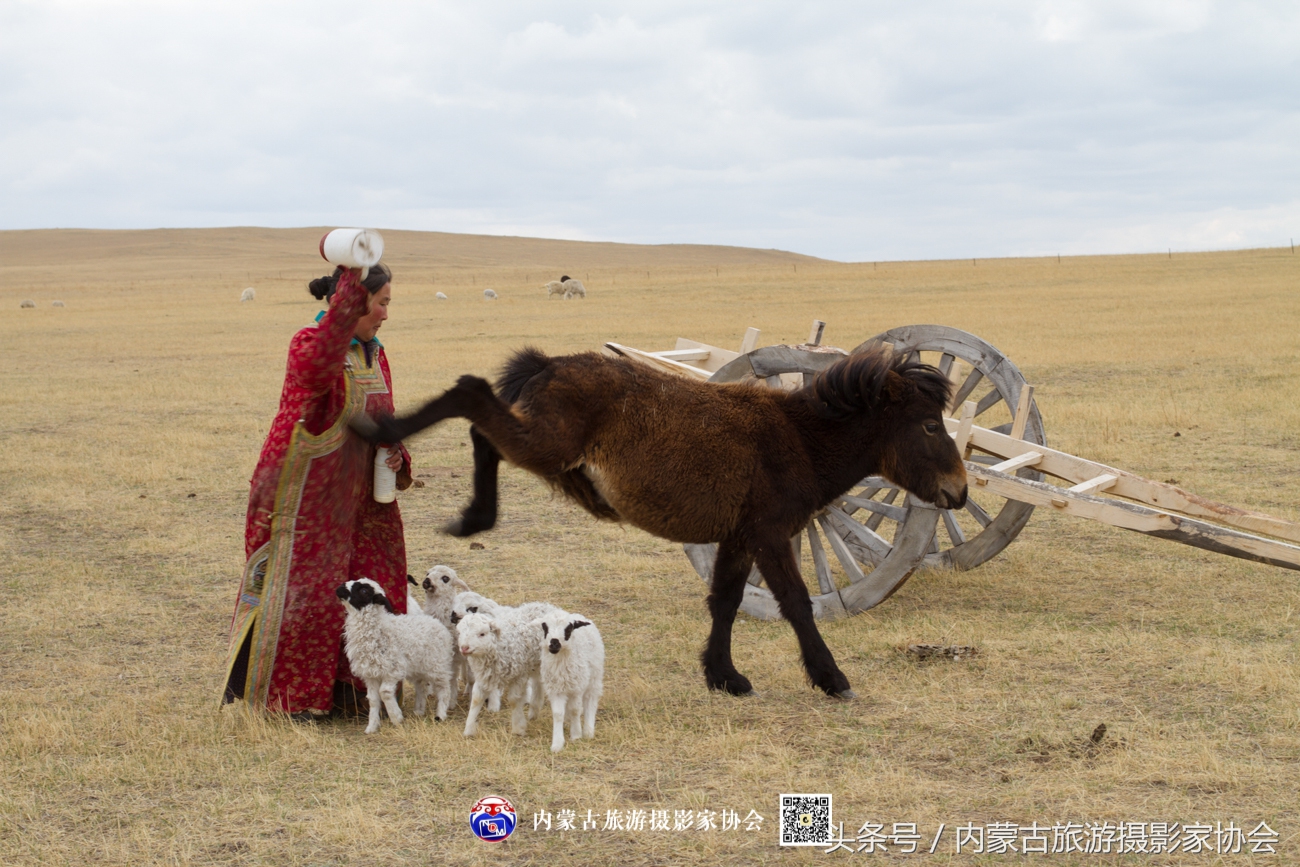 2018平遥摄影节参观攻略,平遥国际摄影大展旅游