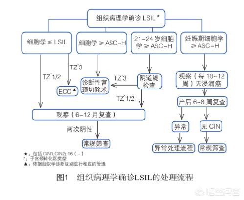 宫颈LSIL会不会转变成宫颈癌,为什么?