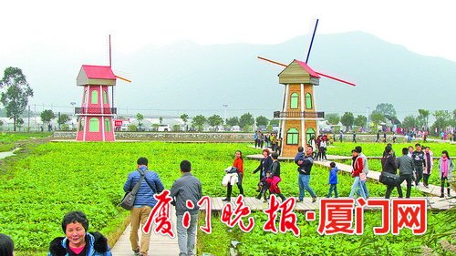 蟹肥鱼美尽情尝,蟹肥鱼鲜