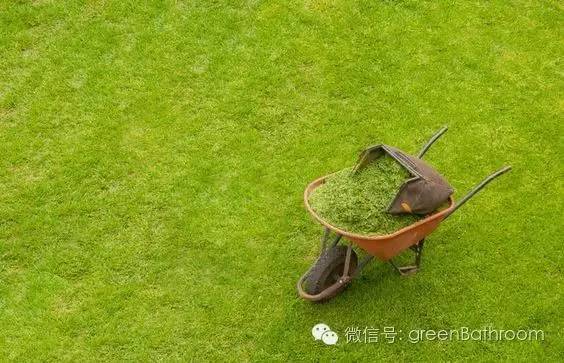 掌握正确施肥方法,如何正确操作施肥