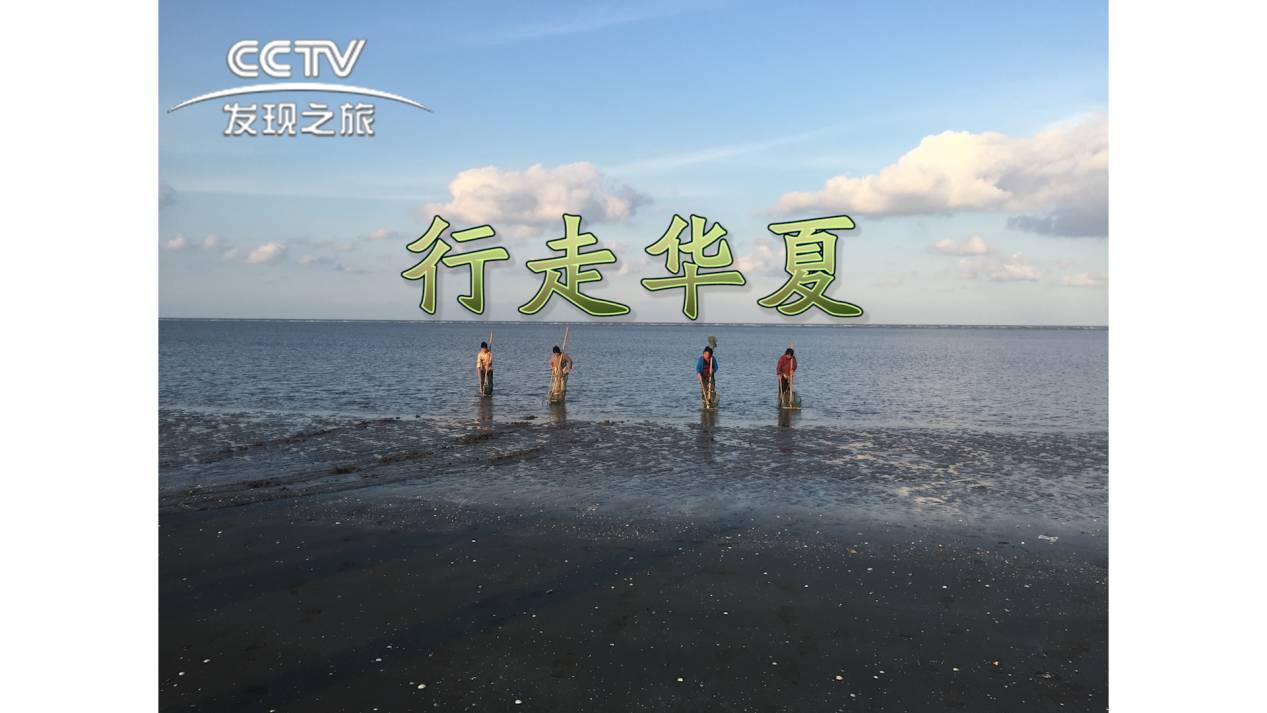 公众号节目栏目推荐,天下足球本周栏目