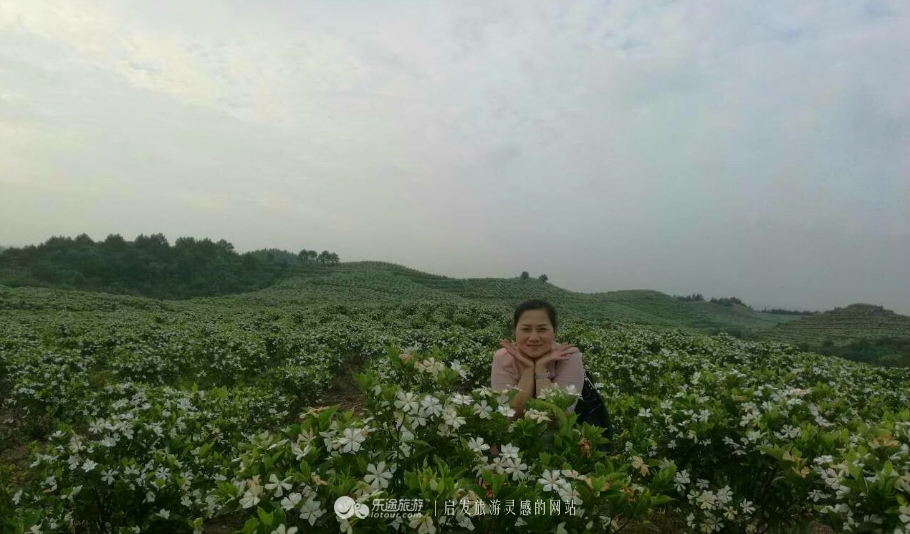 蛇形山镇最新诈骗案,蛇形山镇缅甸诈骗案