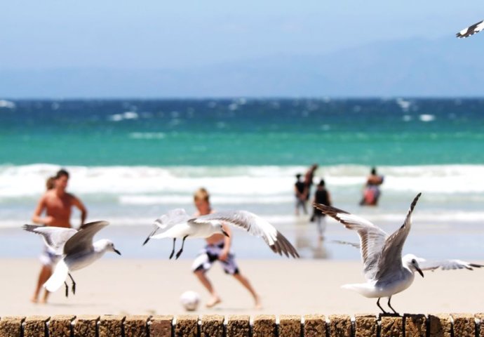 南非世界杯球场位置图,南非世界杯开普敦球场