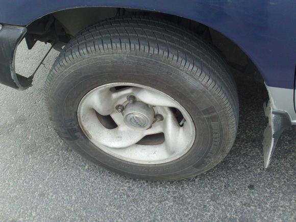 “射鸡”历险记打鸡血然后。